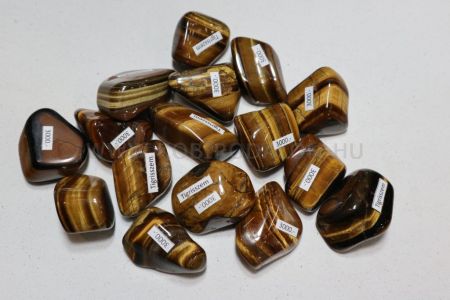 Tigrisszem "A"