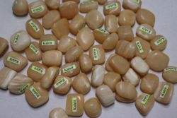  Narancs kalcit 1000